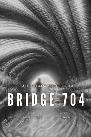 Bridge 704