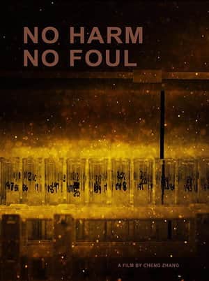 No Harm No Foul