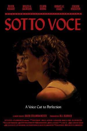 Sotto Voce