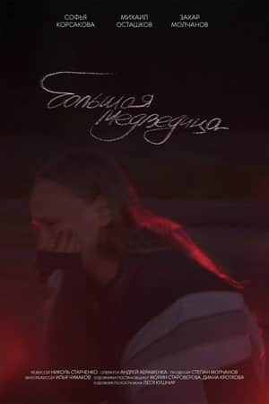 Большая медведица