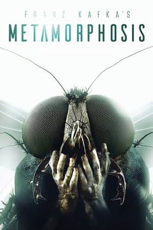 Metamorphosis