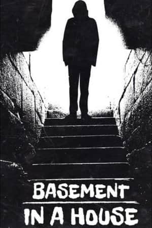 Basement in a House