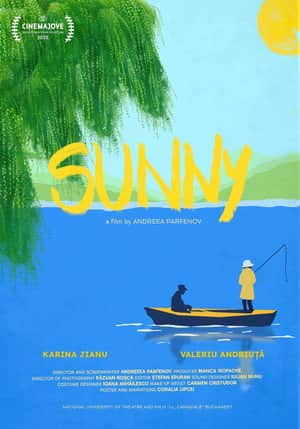 Sunny