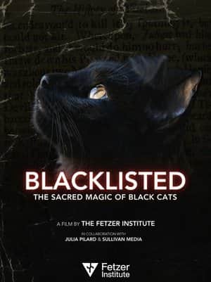 Blacklisted