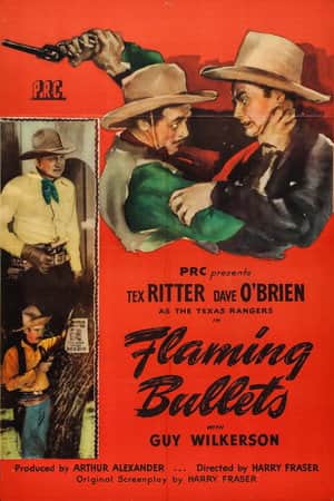 Flaming Bullets