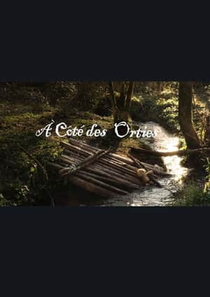 A côté des orties
