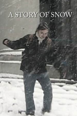A Story of Snow