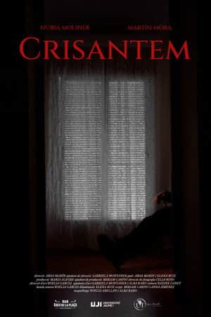 Crisantem
