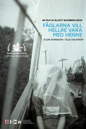 Fåglarna vill hellre vara med henne