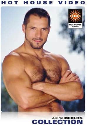Arpad Miklos Collection