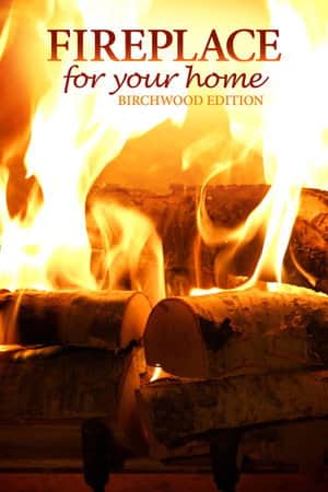 Fireplace for Your Home Crackling Birchwood