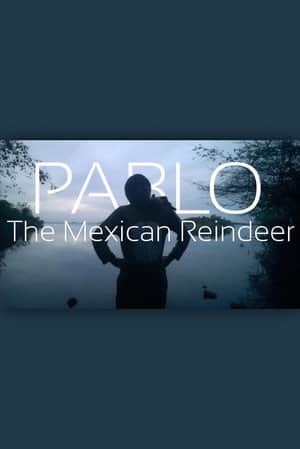 Pablo The Mexican Reindeer
