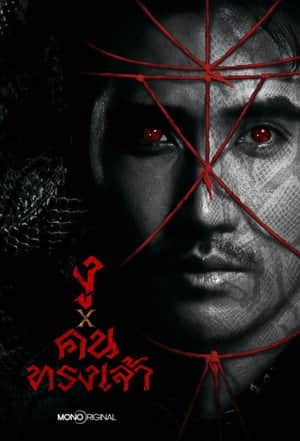 The Shaman