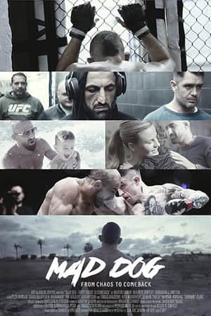 Mad Dog: From Chaos to Comeback