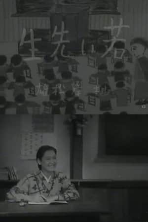 Young Teacher