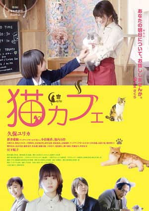 Cat Cafe