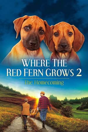Where The Red Fern Grows Part 2