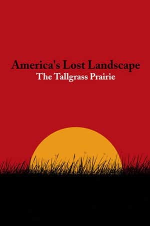 America's Lost Landscape: The Tallgrass Prairie