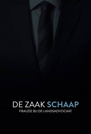 De Zaak Schaap: fraude bij de landsadvocaat
