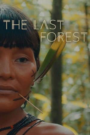The Last Forest