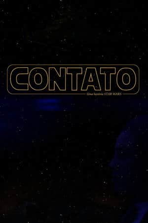 Contato