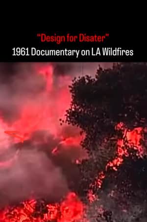 Design for Disaster