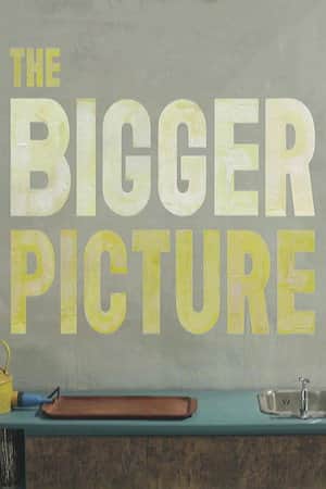 The Bigger Picture