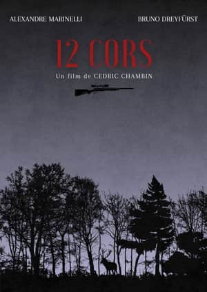 12 Horns