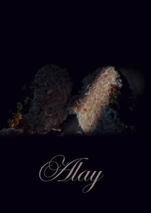 Alay