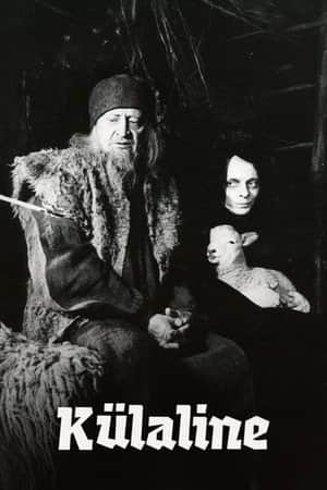 The Visitor
