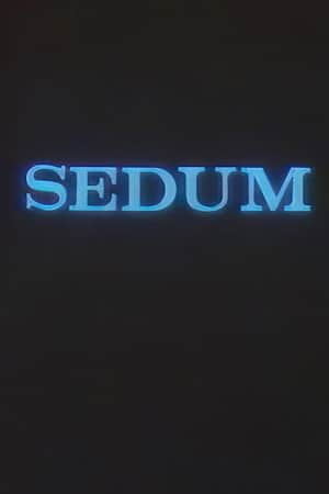 The Seven
