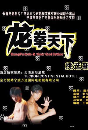 龙拳天下