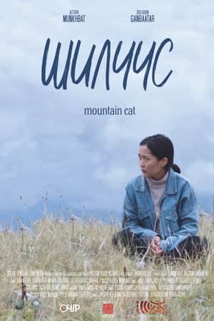 Mountain Cat
