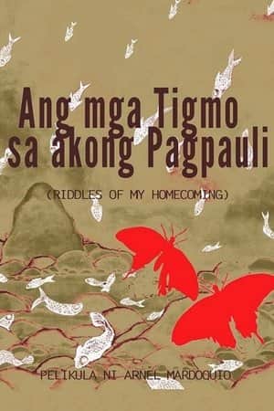 Ang mga Tigmo sa Akong Pagpauli