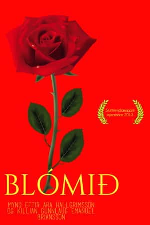 The flower