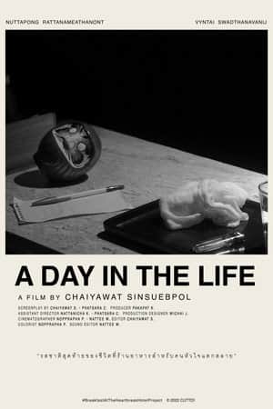 A DAY IN THE LIFE