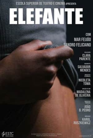 Elefante