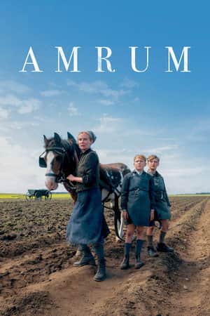 Amrum