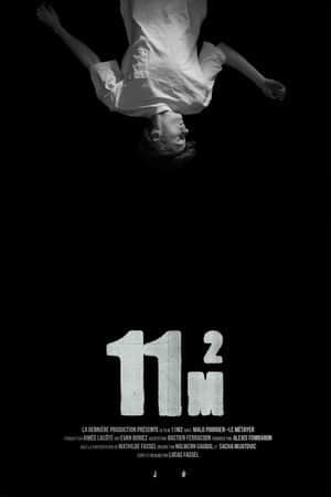 11m2