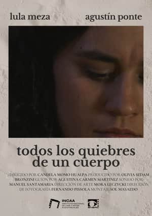 Todos los quiebres de un cuerpo