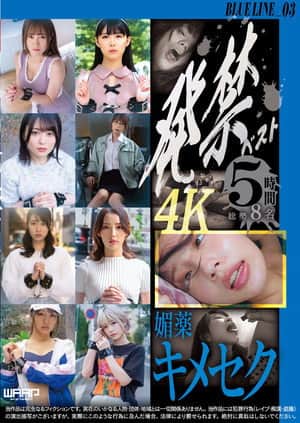 発禁ベスト　媚薬キメセク　BLUE LINE_03／茜（26） その他 7名