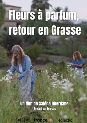 Fleurs à parfum, retour en Grasse