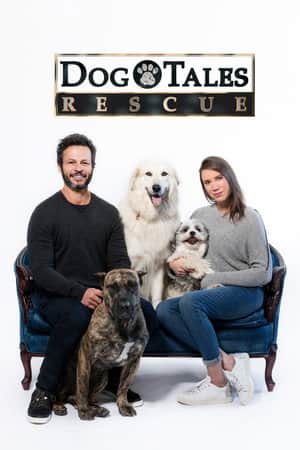 Dog Tales Rescue
