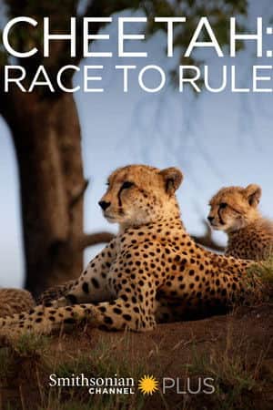 Cheetah: Race to Rule