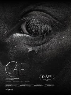 The Calf