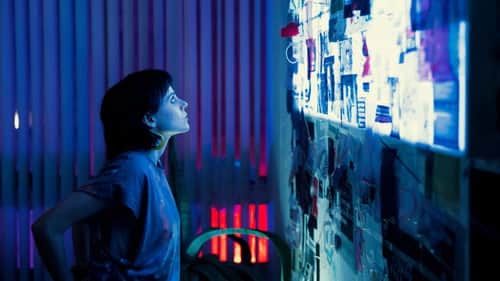 The Curtain Falls
