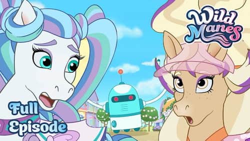 The Mane Machine