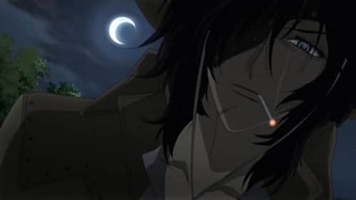 Moonlight Festivities