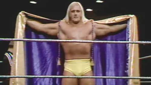WWF Championship Wrestling - Feb. 16, 1980