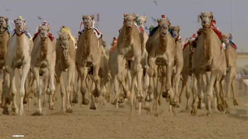 Shifting Sands